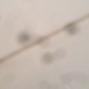 Meet your Posher, Max